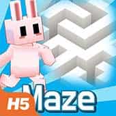 Play Maze