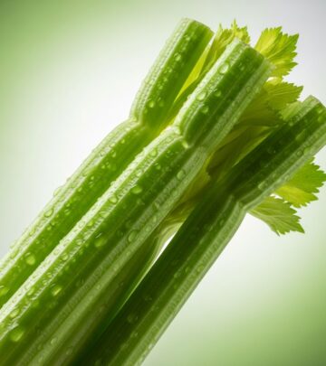 Explore celery's origins, uses, nutritional benefits, and potential skin reactions including photosensitivity and allergies.